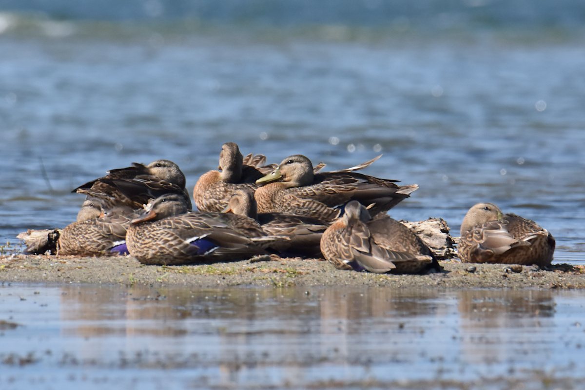 Lake Champlain Vacation 03