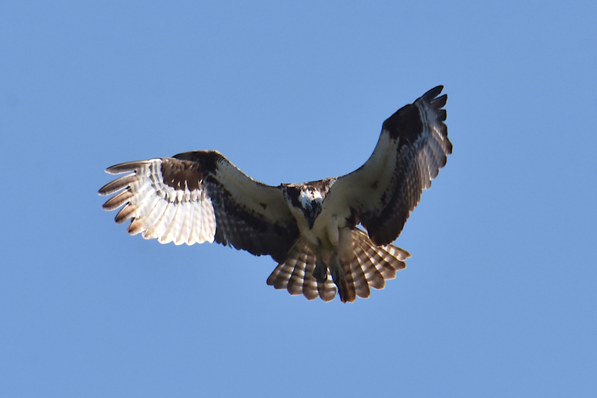Lake Champlain Vacation 04