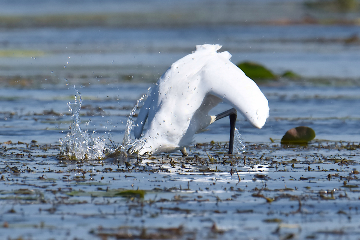 Lake Champlain Vacation 05