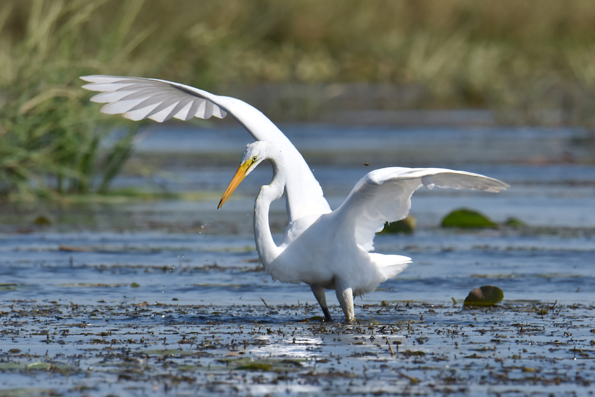 Lake Champlain Vacation 06