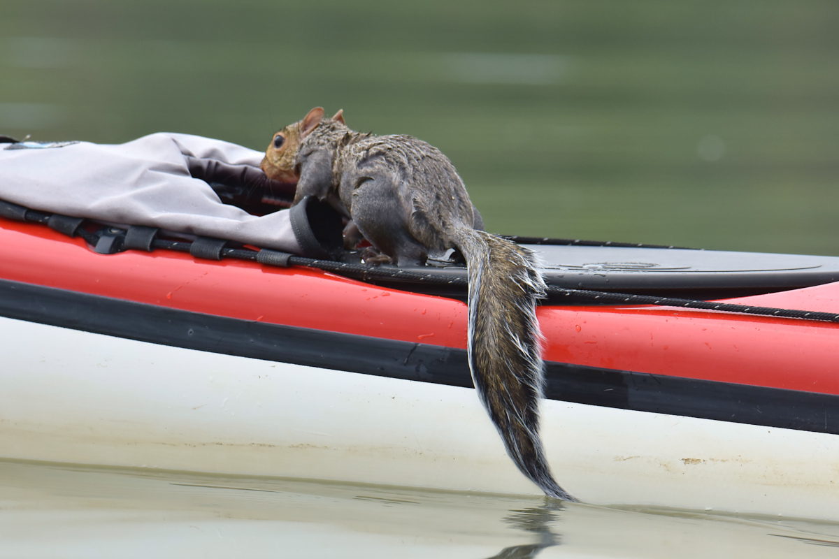Lake Champlain Vacation 08
