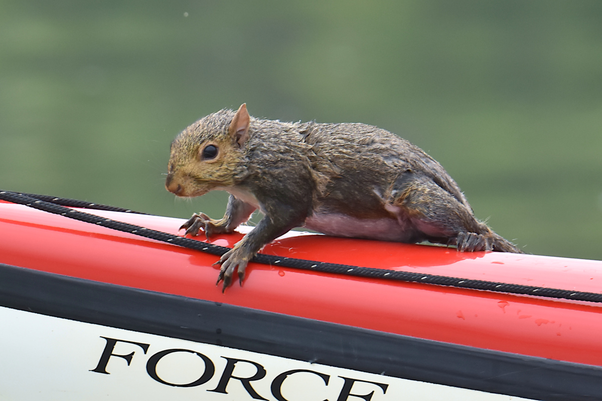 Lake Champlain Vacation 09