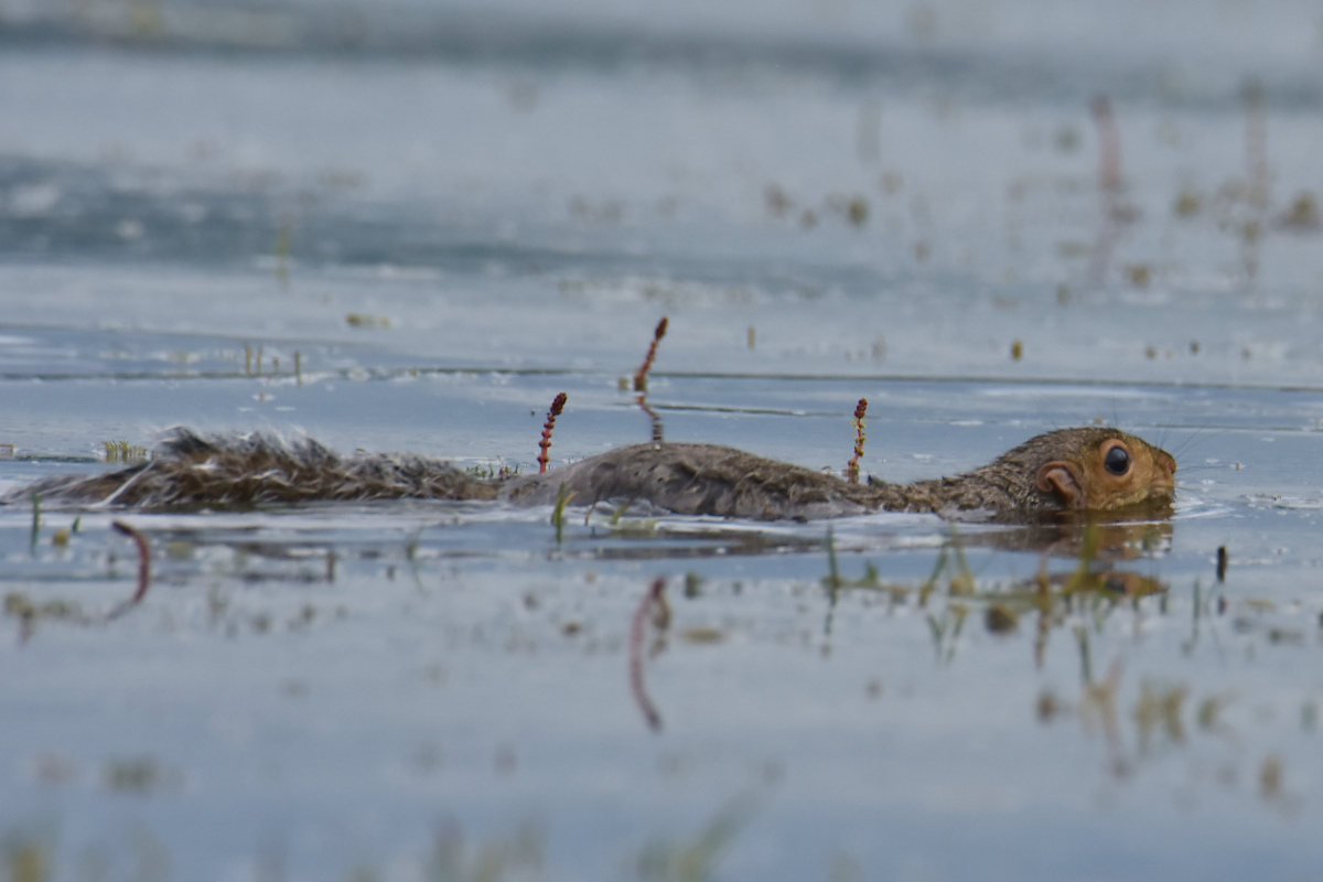 Lake Champlain Vacation 11