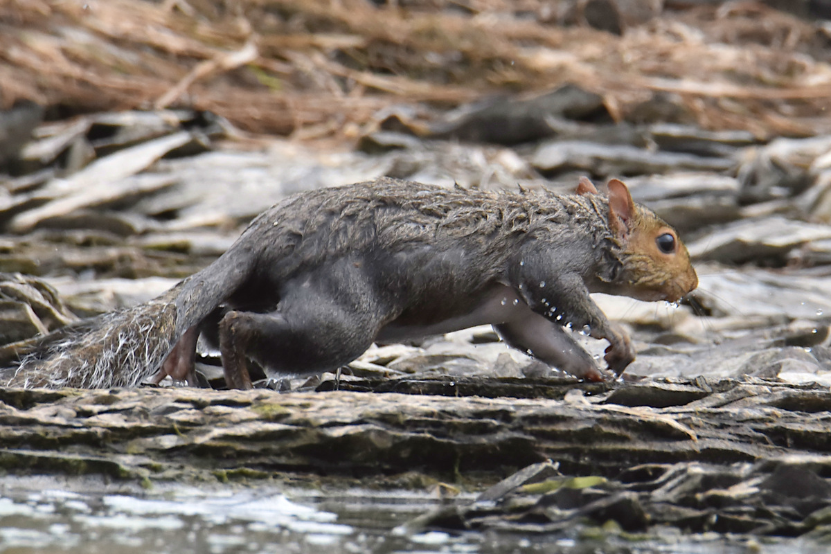Lake Champlain Vacation 12