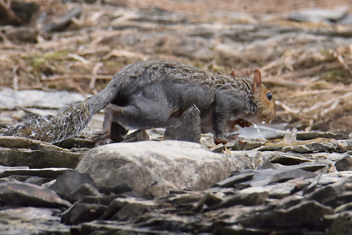 Lake Champlain Vacation 13