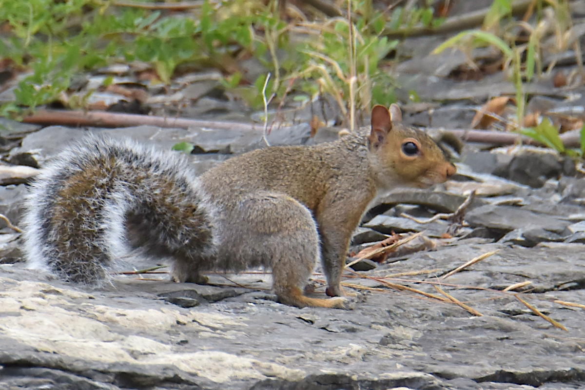 Lake Champlain Vacation 14