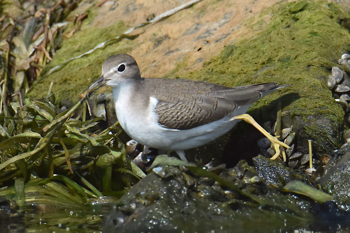 Lake Champlain Vacation 15