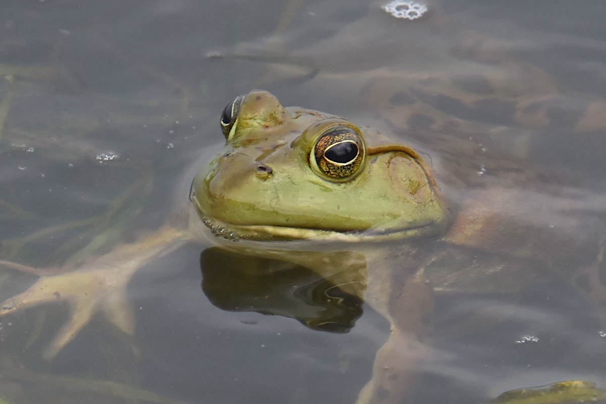 Lake Champlain Vacation 20