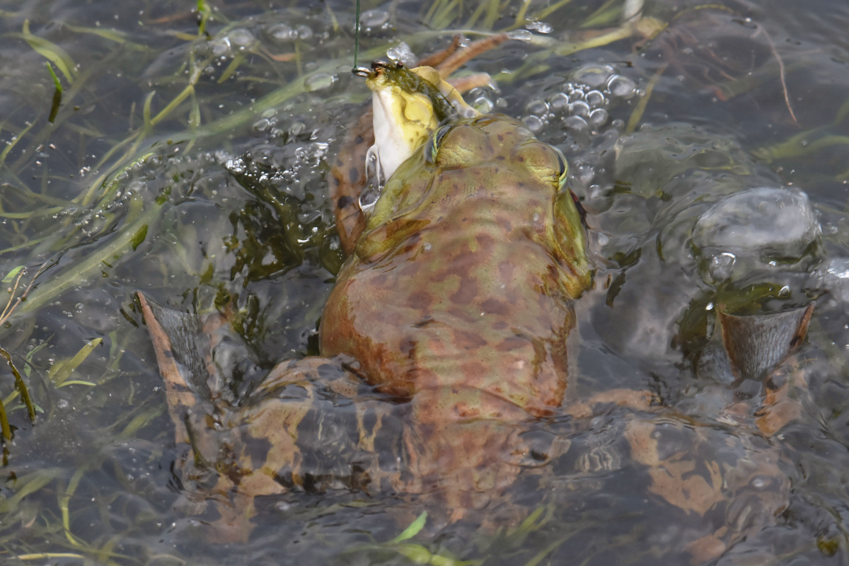 Lake Champlain Vacation 21