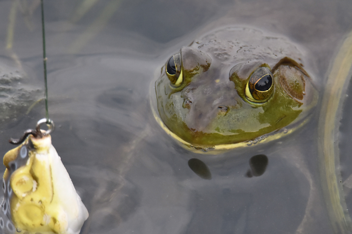 Lake Champlain Vacation 24