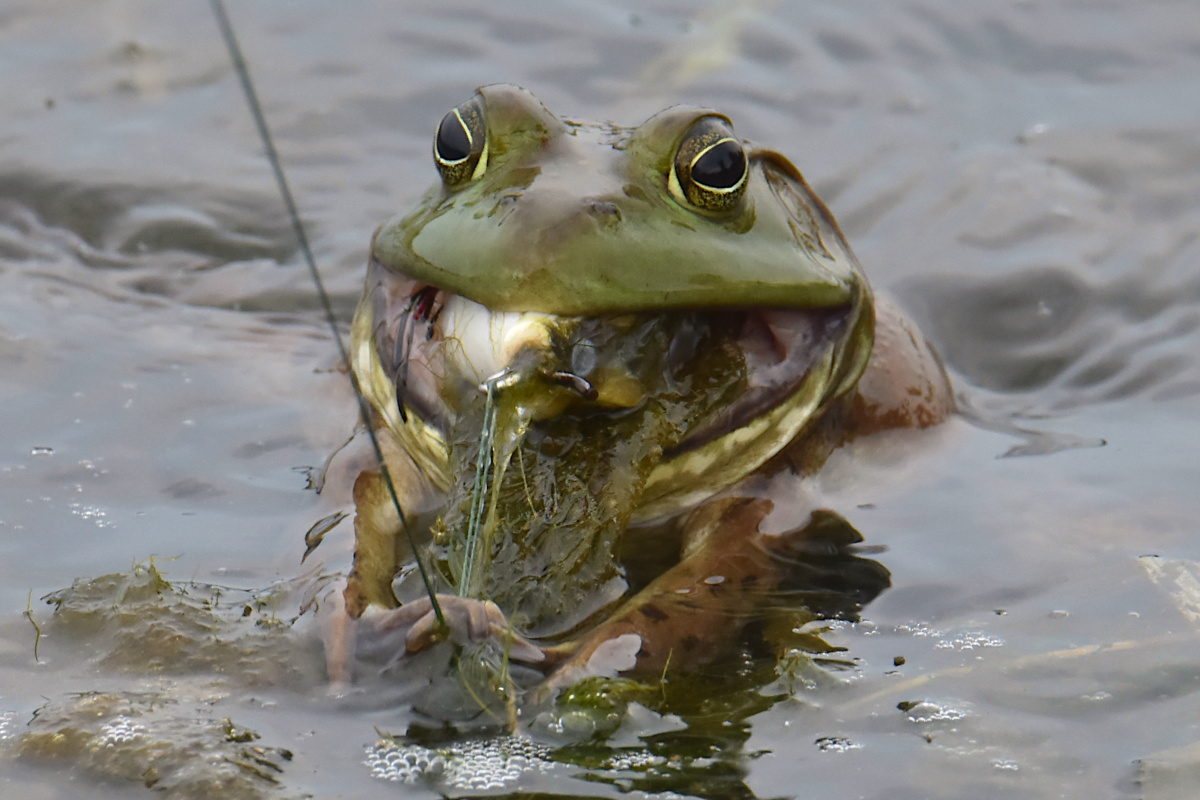 Lake Champlain Vacation 25