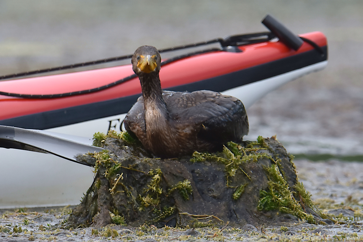 Lake Champlain Vacation 30