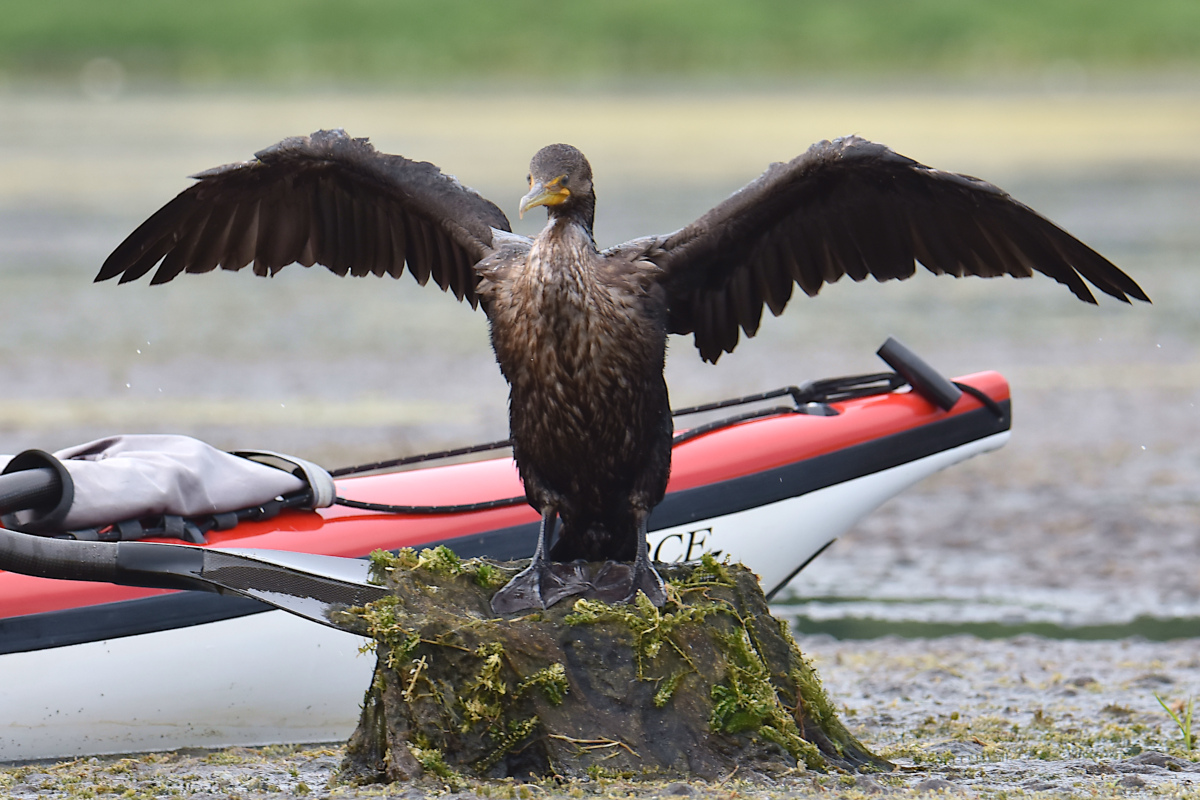 Lake Champlain Vacation 31