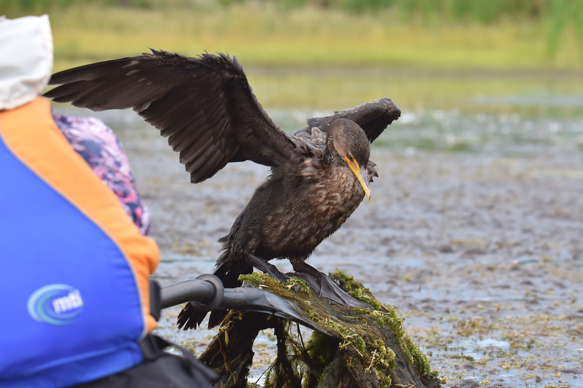 Lake Champlain Vacation 32