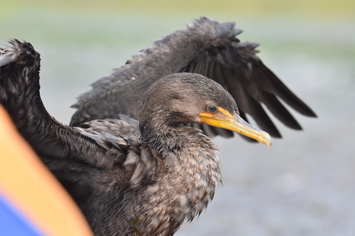 Lake Champlain Vacation 33