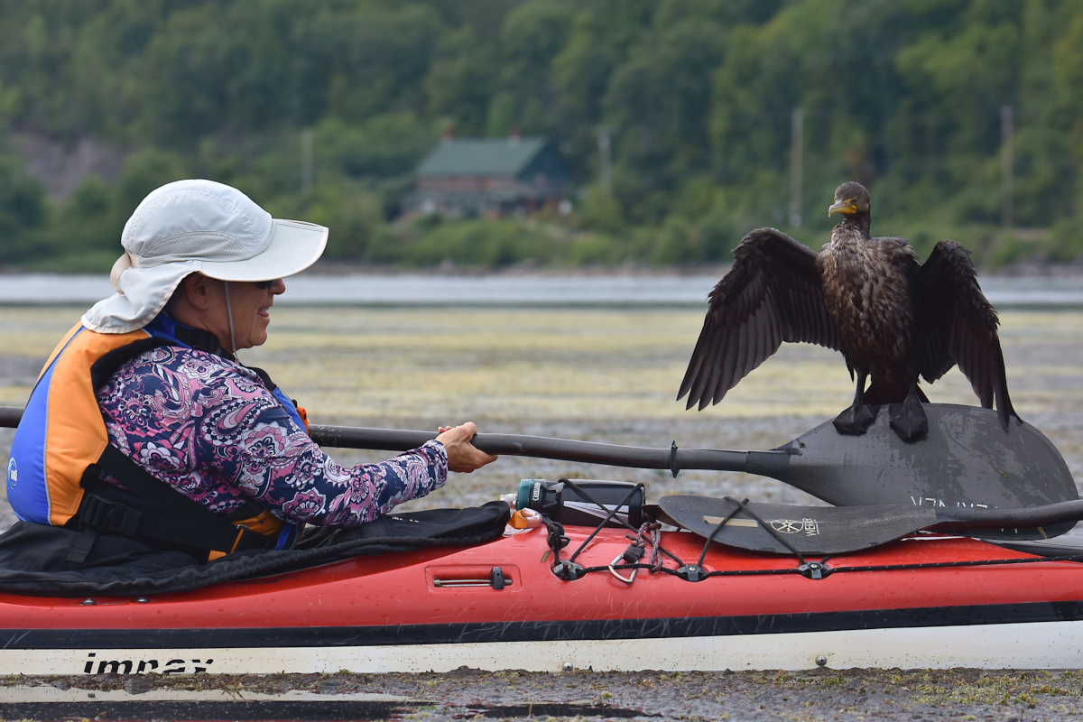 Lake Champlain Vacation 34