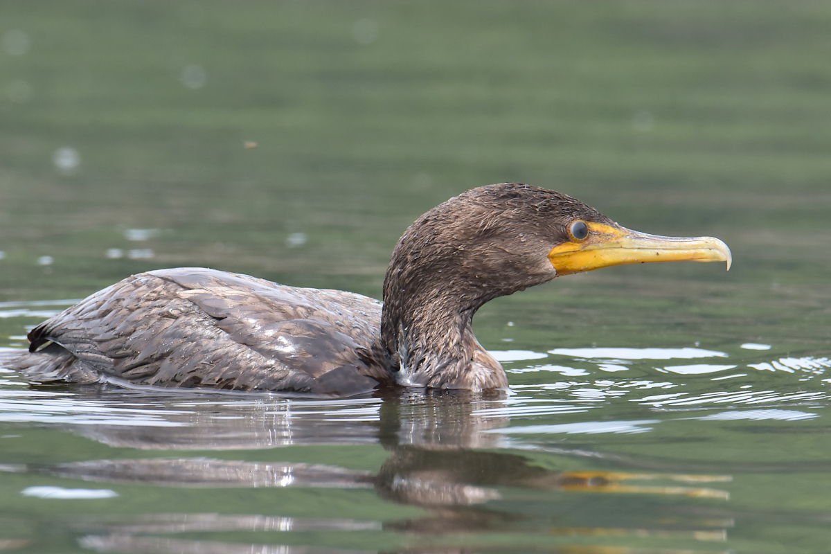 Lake Champlain Vacation 38
