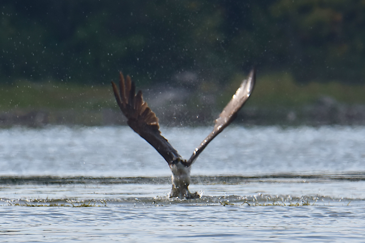 Lake Champlain Vacation 40
