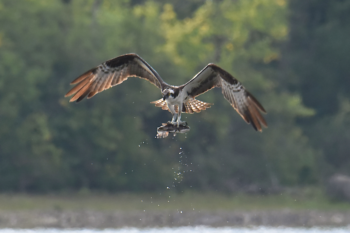 Lake Champlain Vacation 41