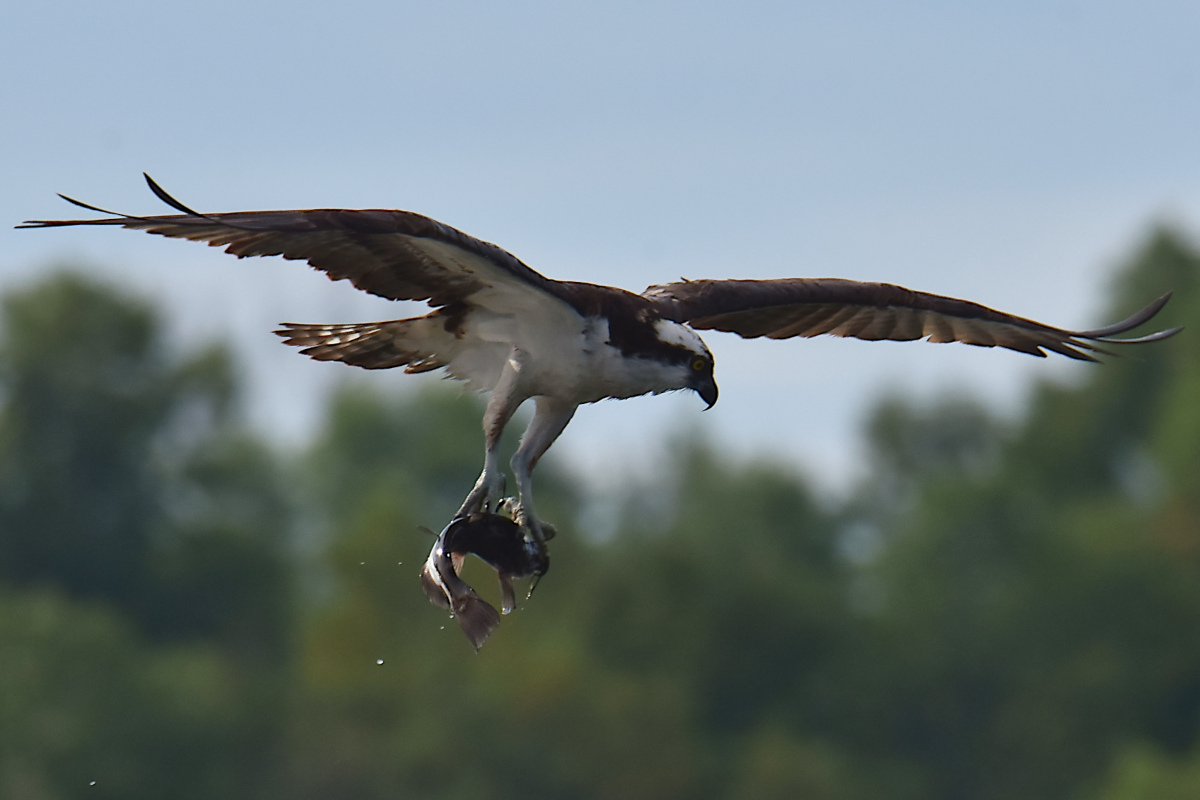 Lake Champlain Vacation 43