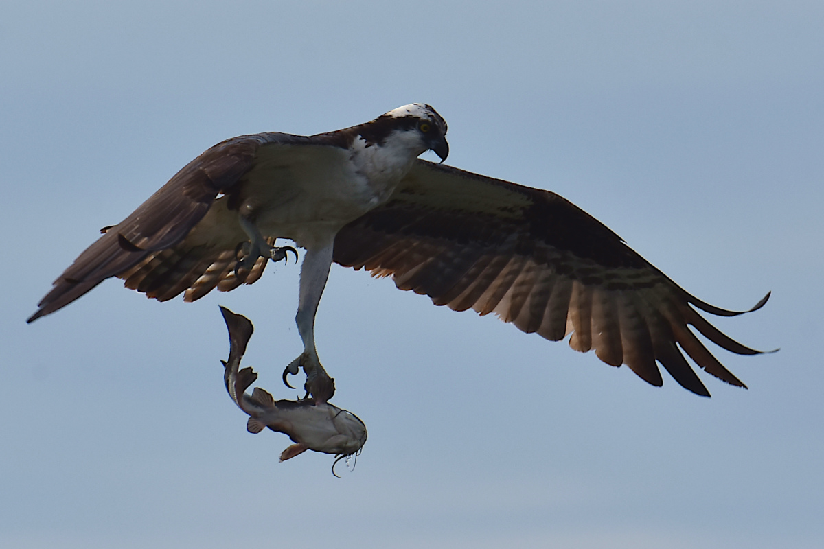 Lake Champlain Vacation 44
