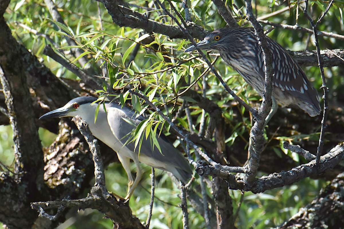 Lake Champlain Vacation 45