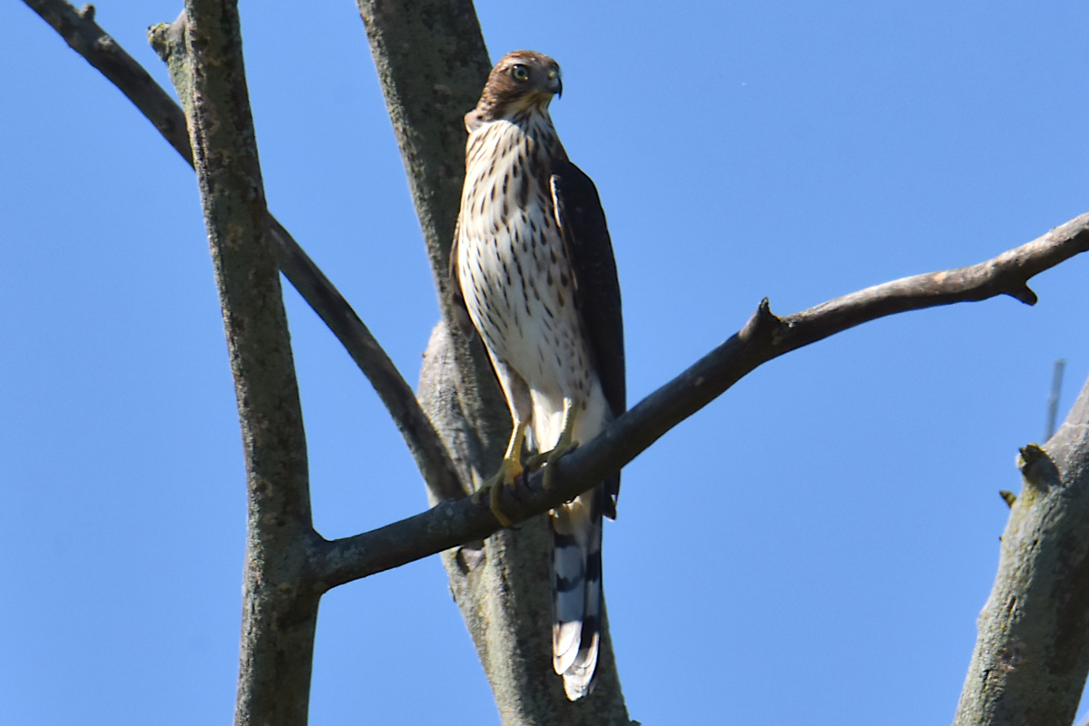 Lake Champlain Vacation 50
