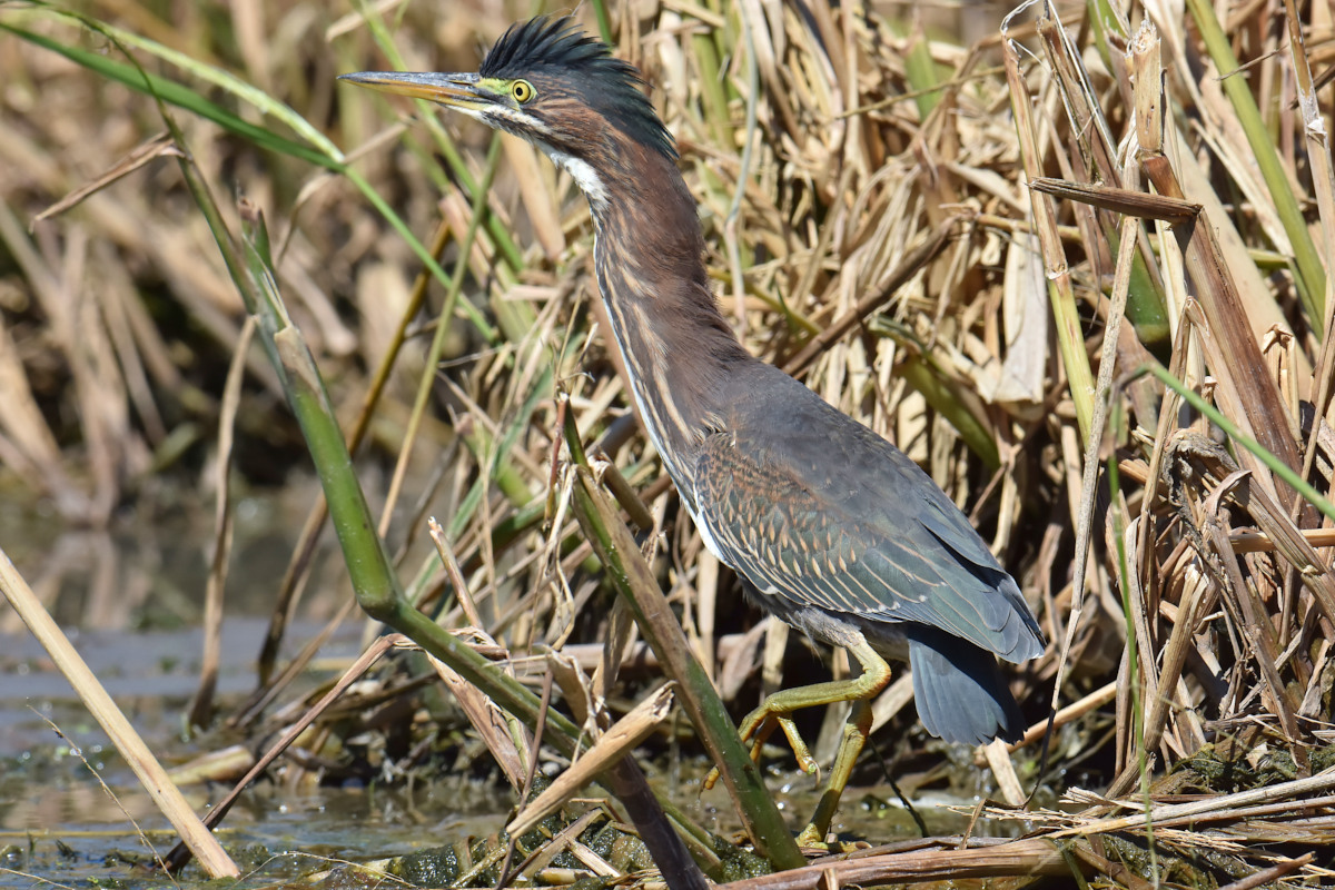 Lake Champlain Vacation 51