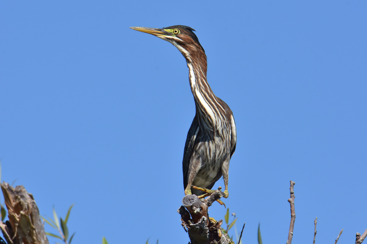 Lake Champlain Vacation 54