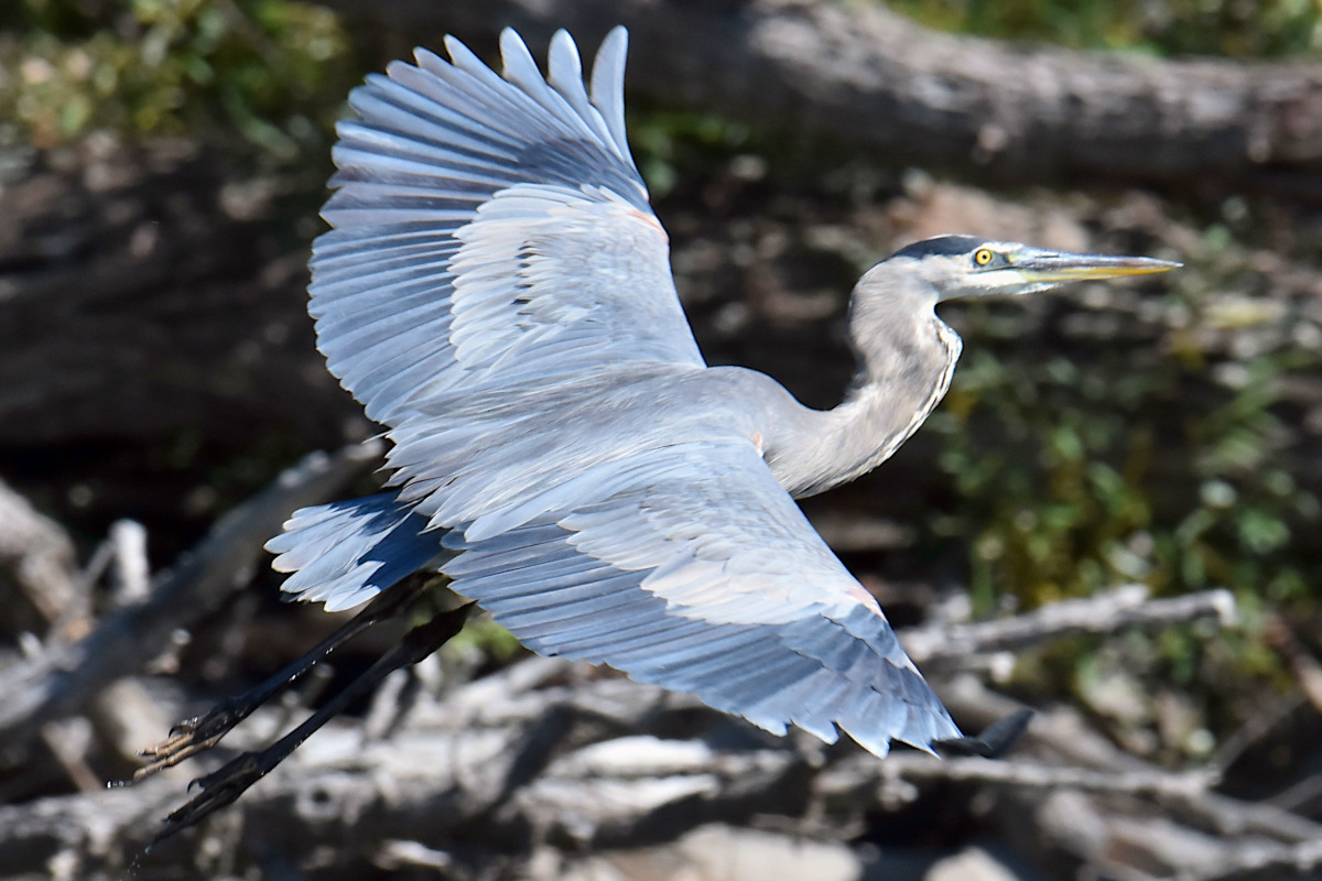 Lake Champlain Vacation 57