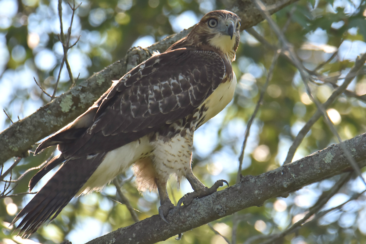 Lake Champlain Vacation 58
