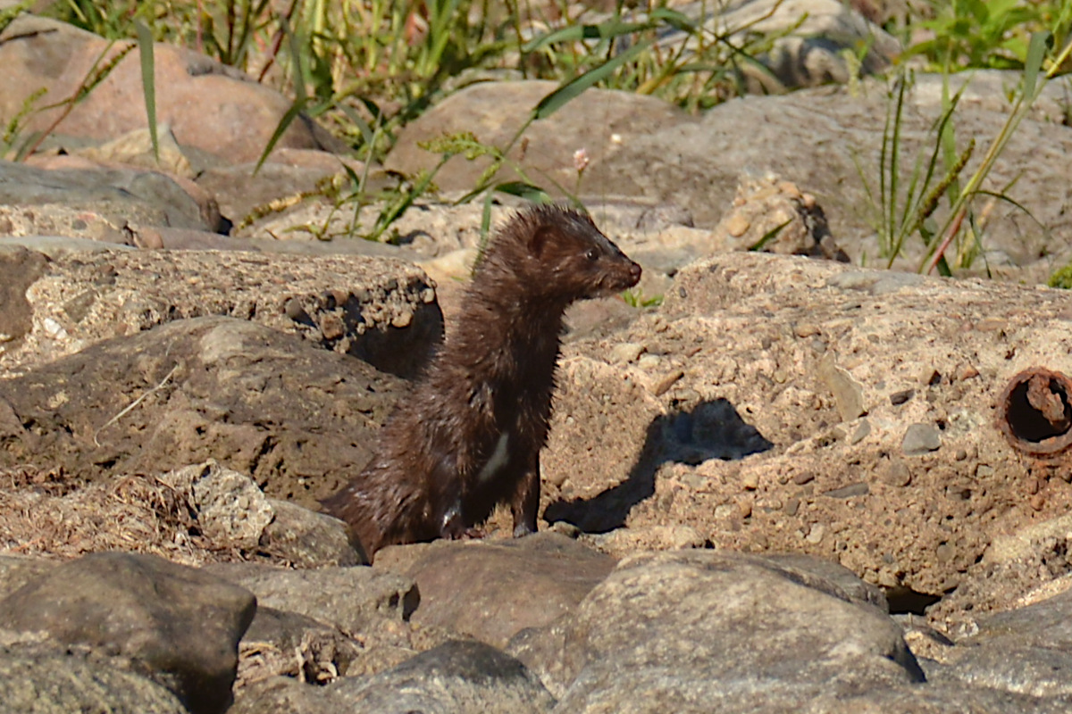 Lake Champlain Vacation 59
