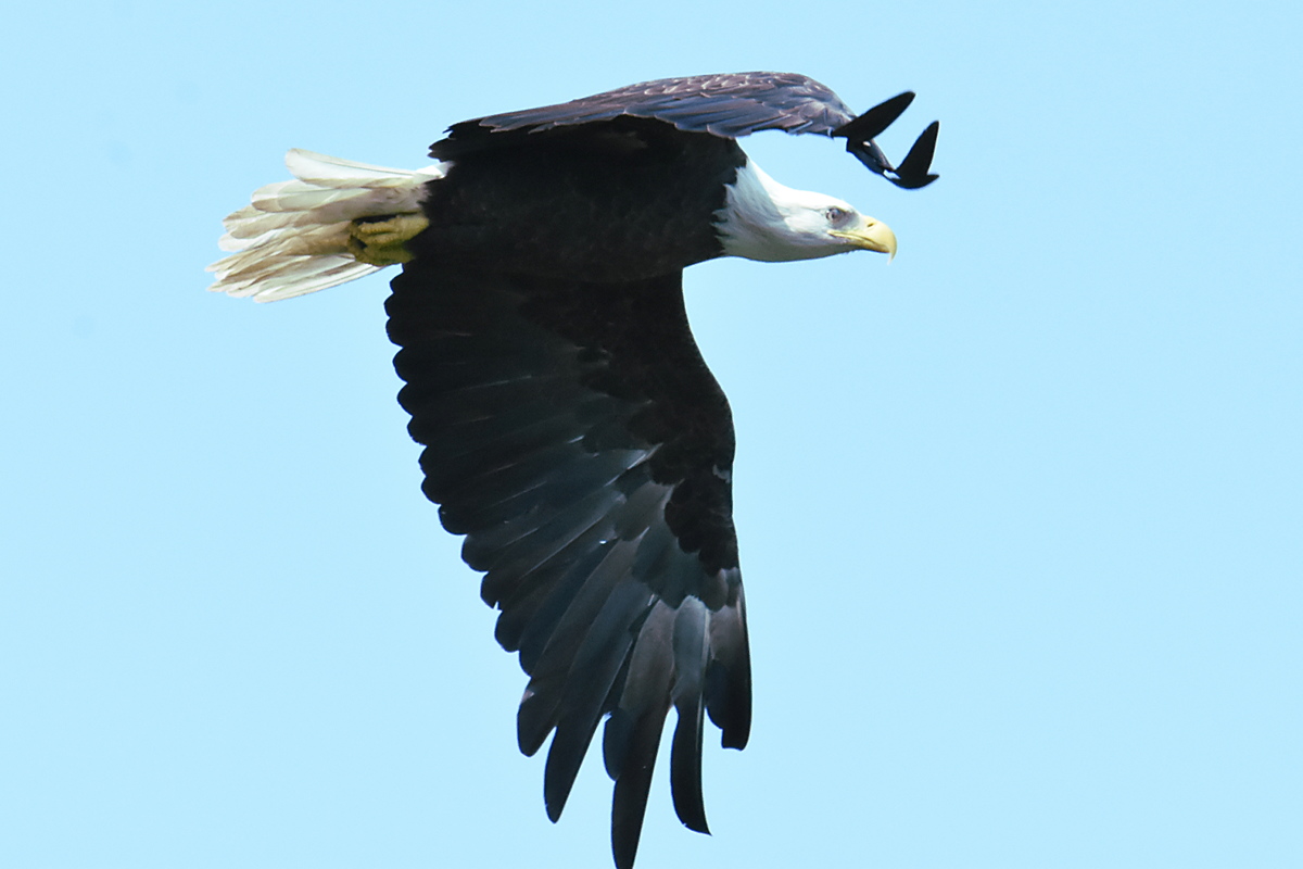 Lake Champlain Vacation 01