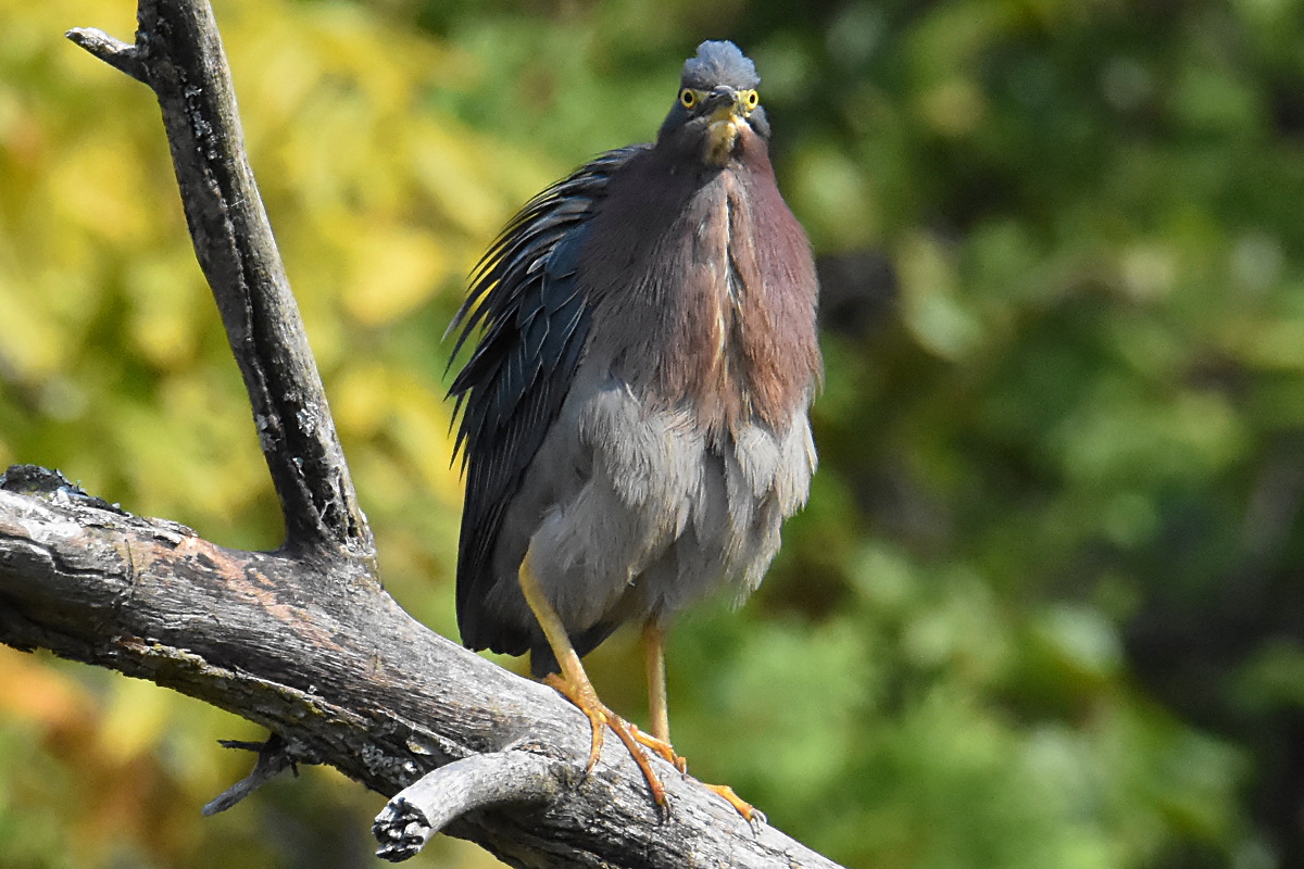 Lake Champlain Vacation 03