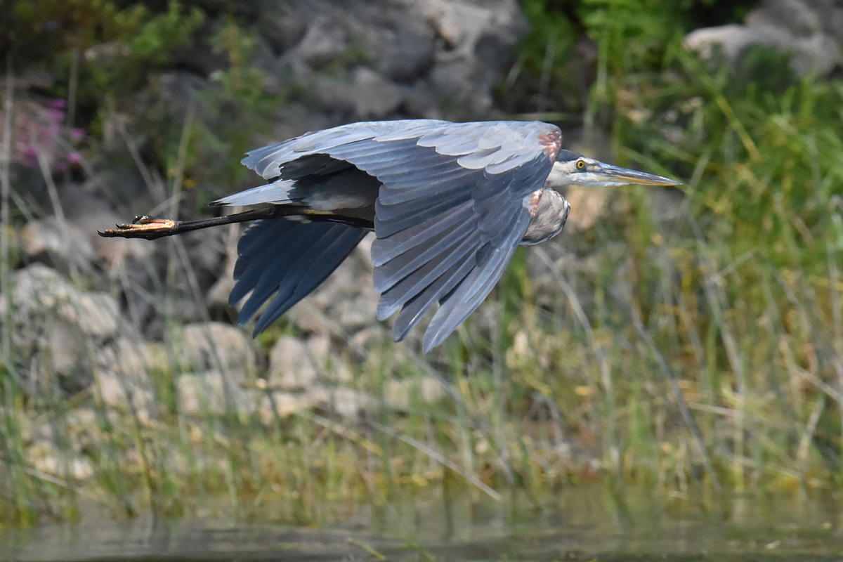 Lake Champlain Vacation 04