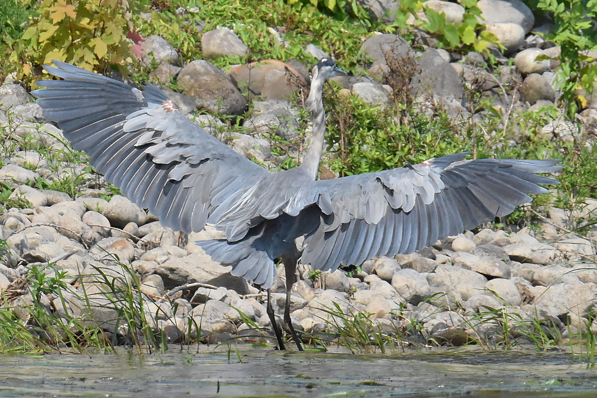 Lake Champlain Vacation 05