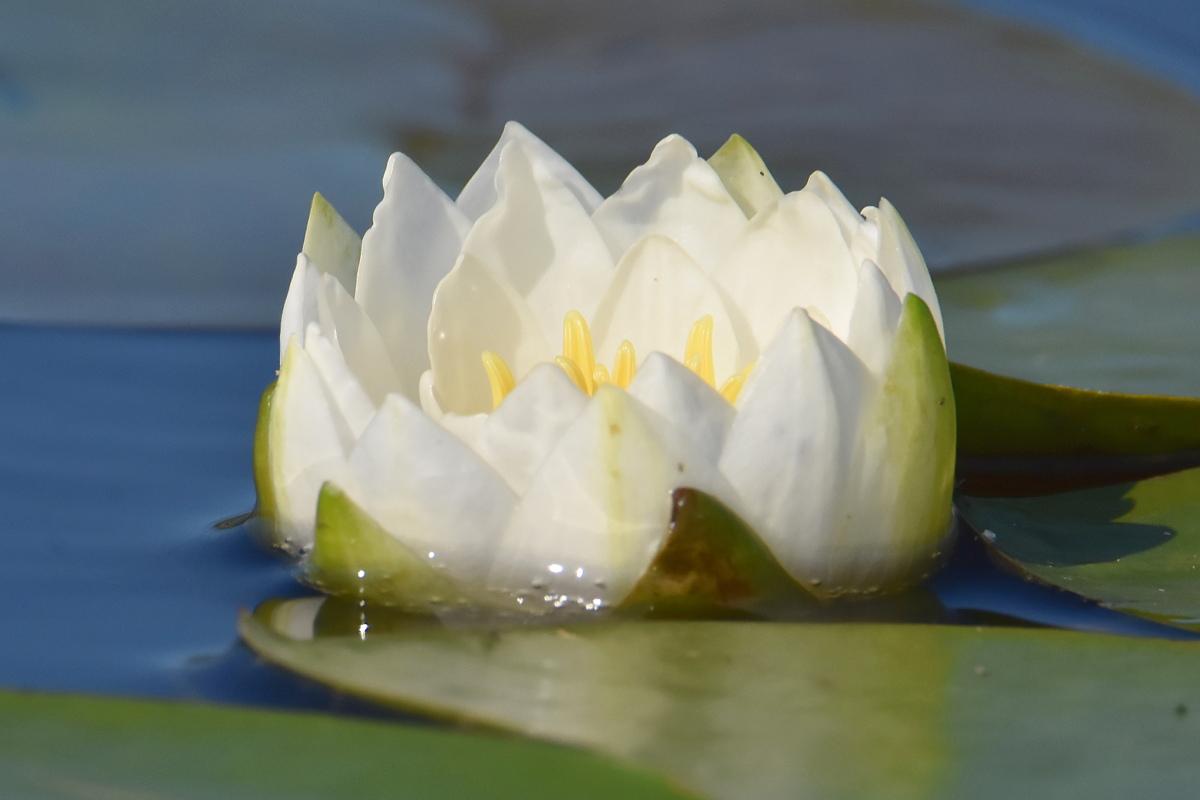 Lake Champlain Vacation 09