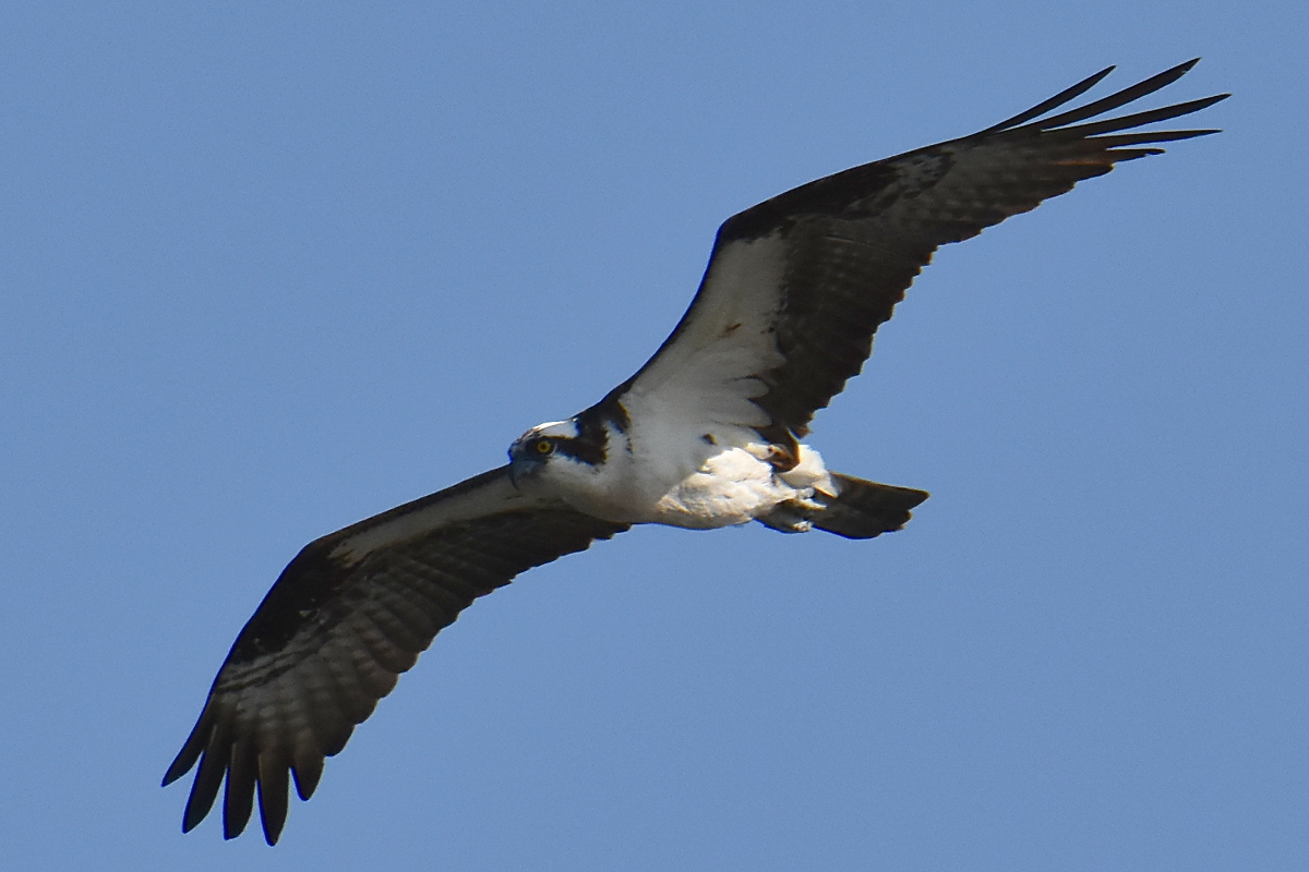 Lake Champlain Vacation 10