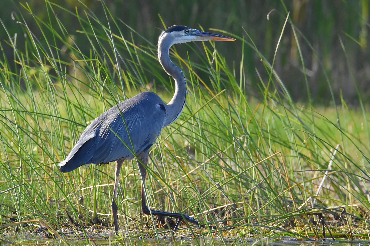 Lake Champlain Vacation 12