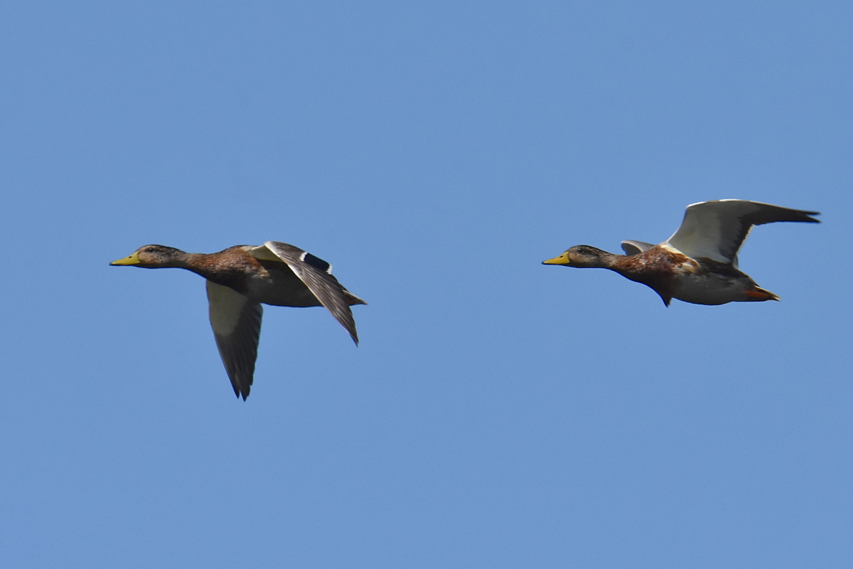 Lake Champlain Vacation 14