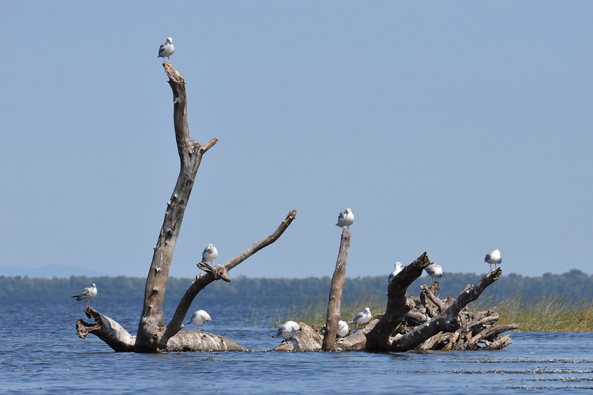Lake Champlain Vacation 16