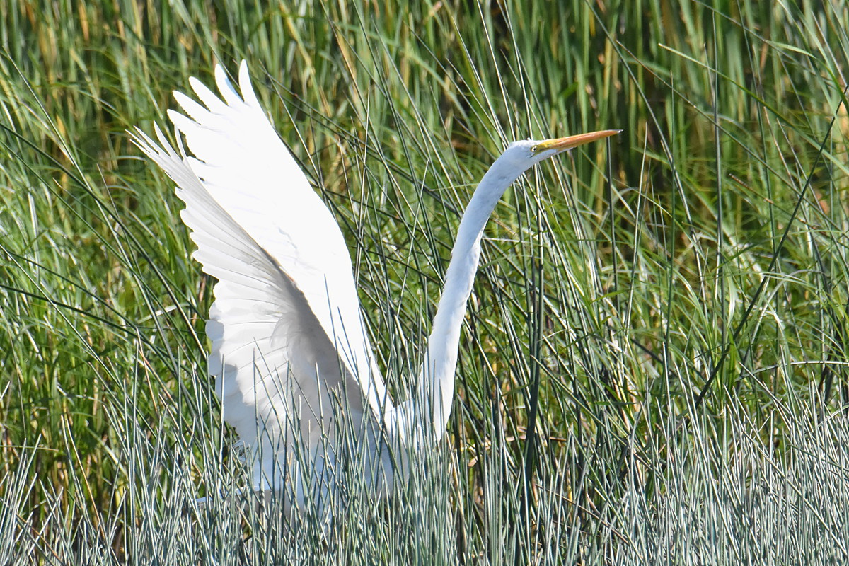 Lake Champlain Vacation 17