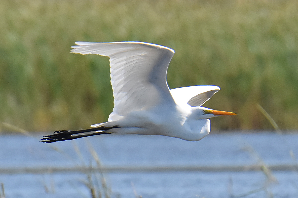 Lake Champlain Vacation 18