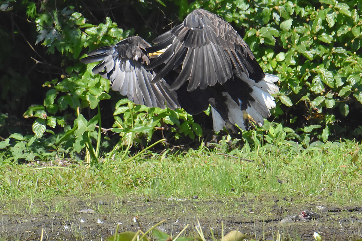 Lake Champlain Vacation 26