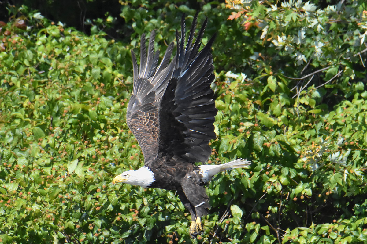 Lake Champlain Vacation 27