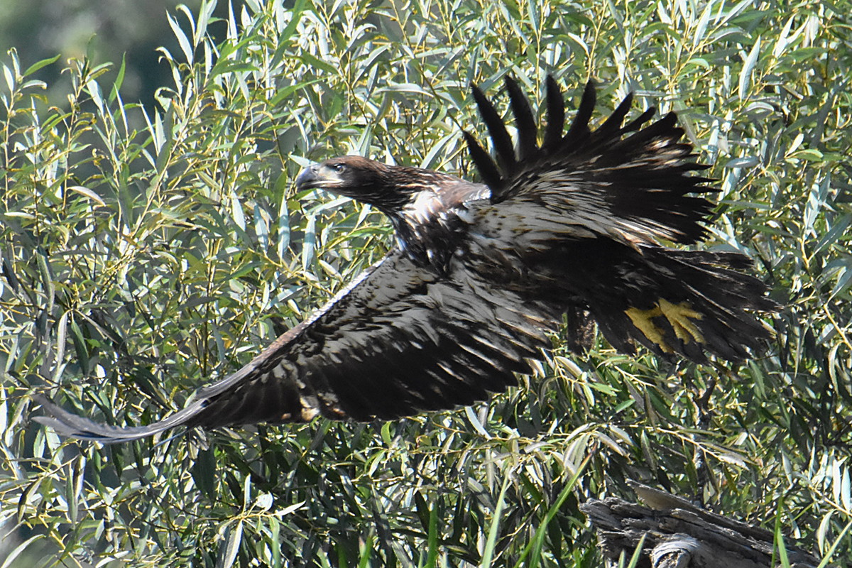 Lake Champlain Vacation 30