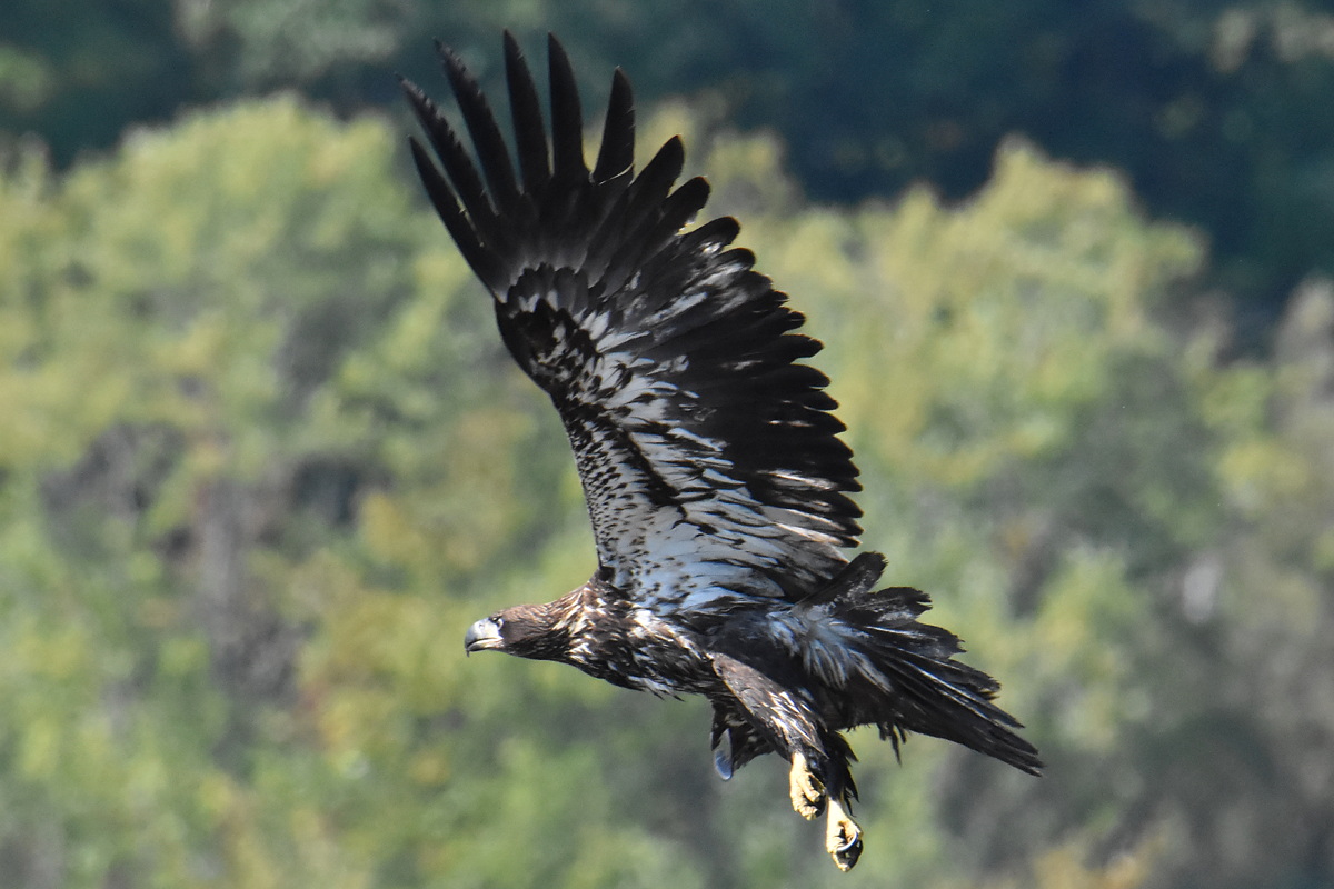 Lake Champlain Vacation 31