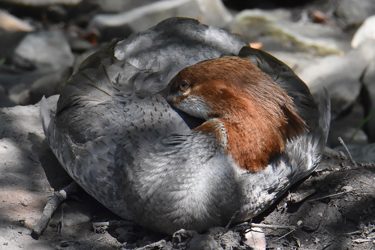 Lake Champlain Vacation 34