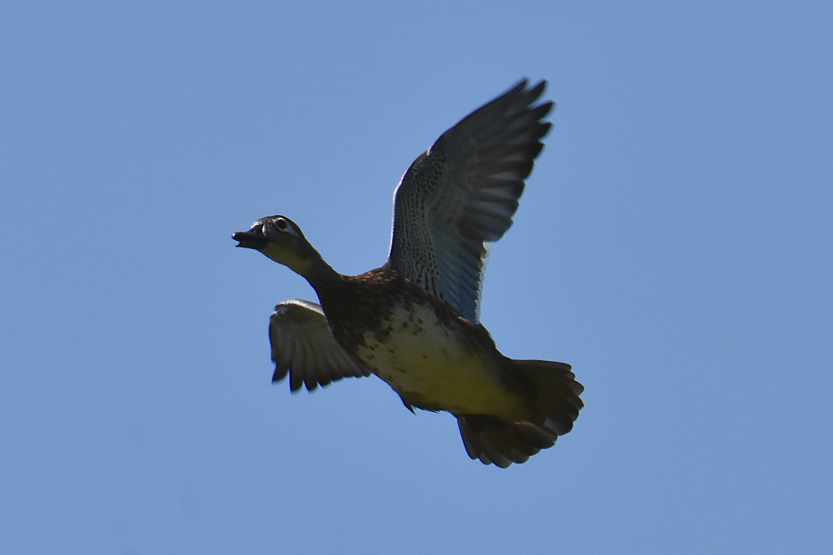 Lake Champlain Vacation 35