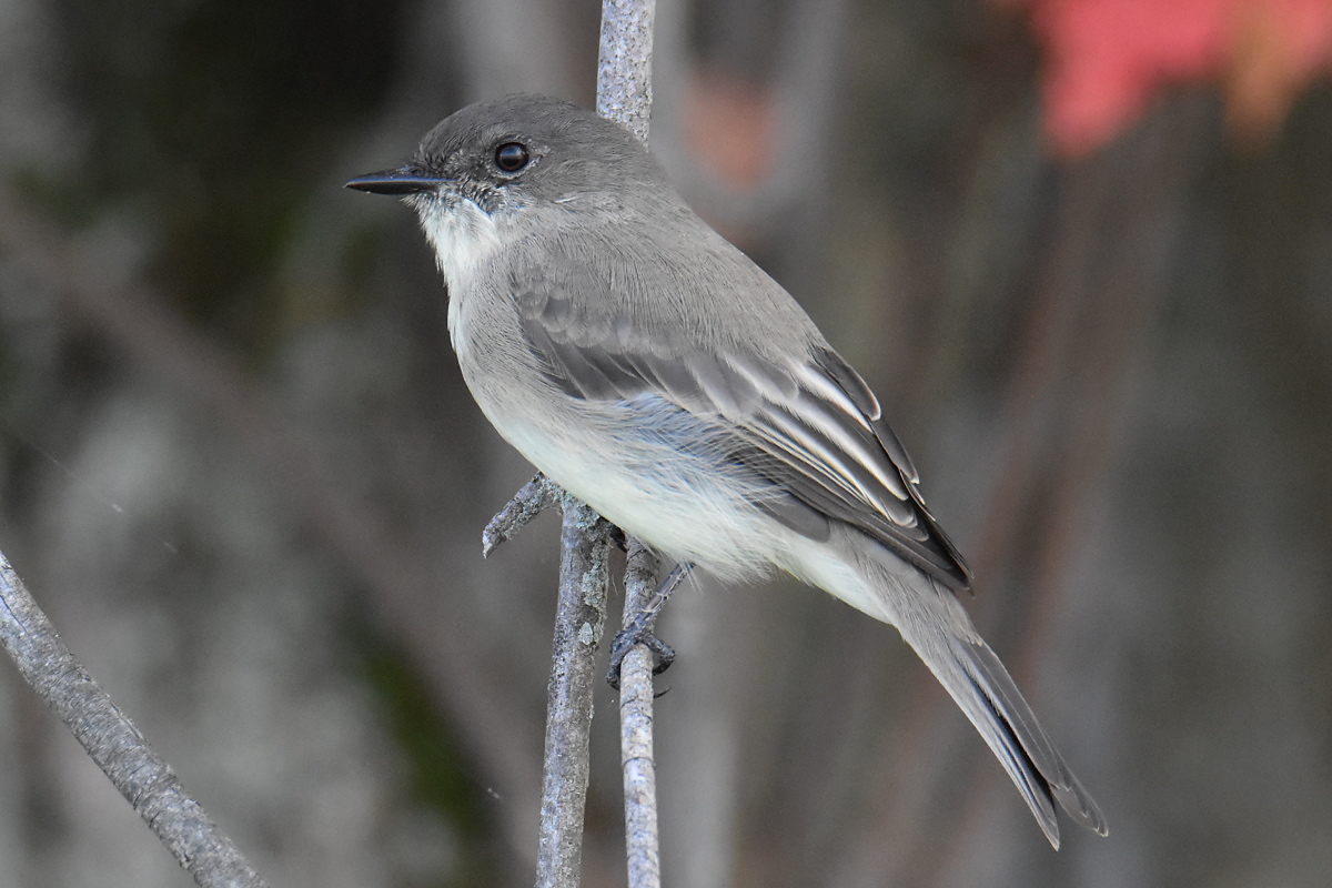 Lake Champlain Vacation 39